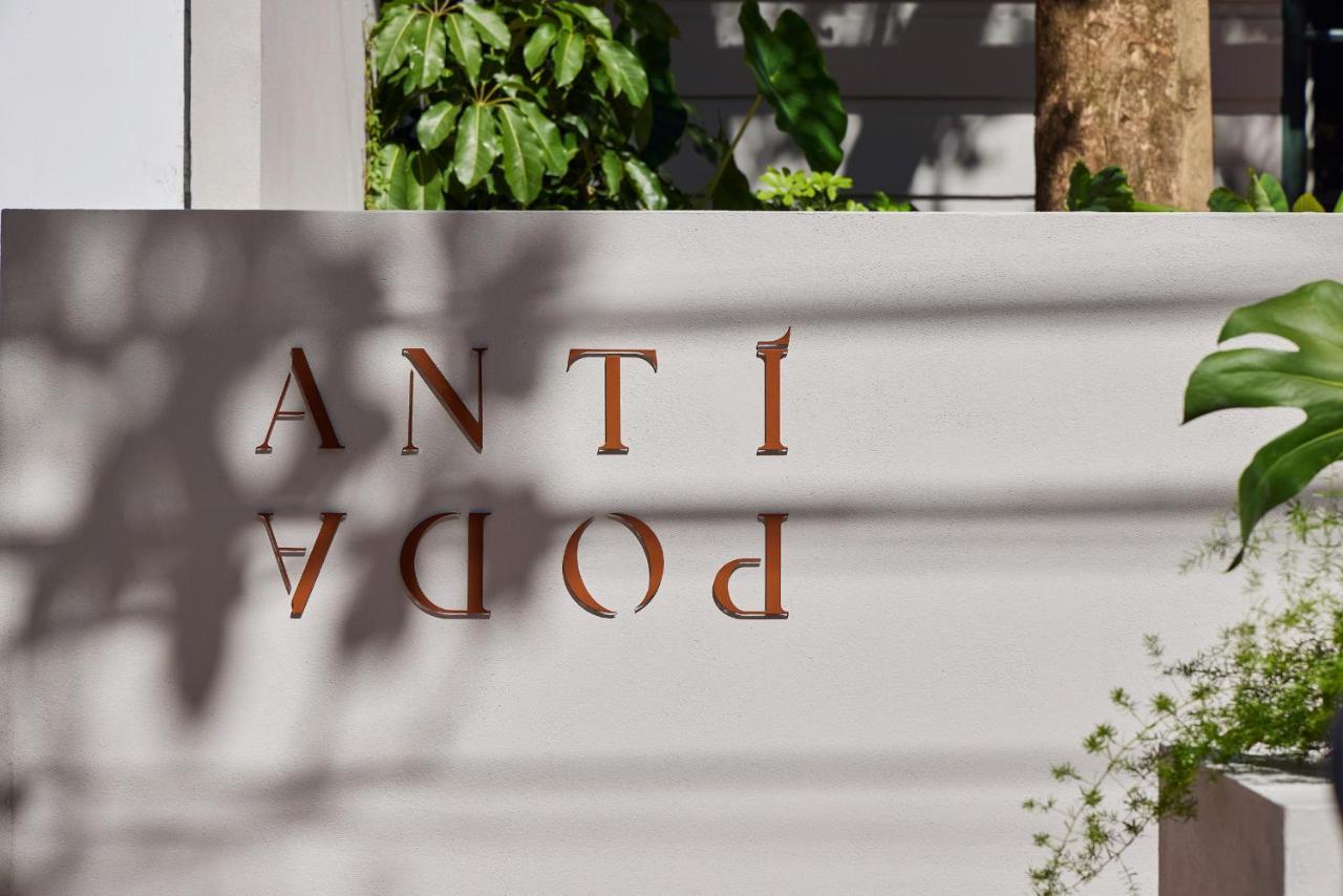 Antipoda Hotel Boutique 메딜린 외부 사진
