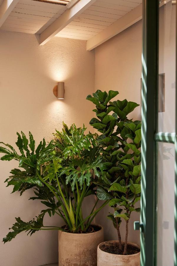 Antipoda Hotel Boutique 메딜린 외부 사진