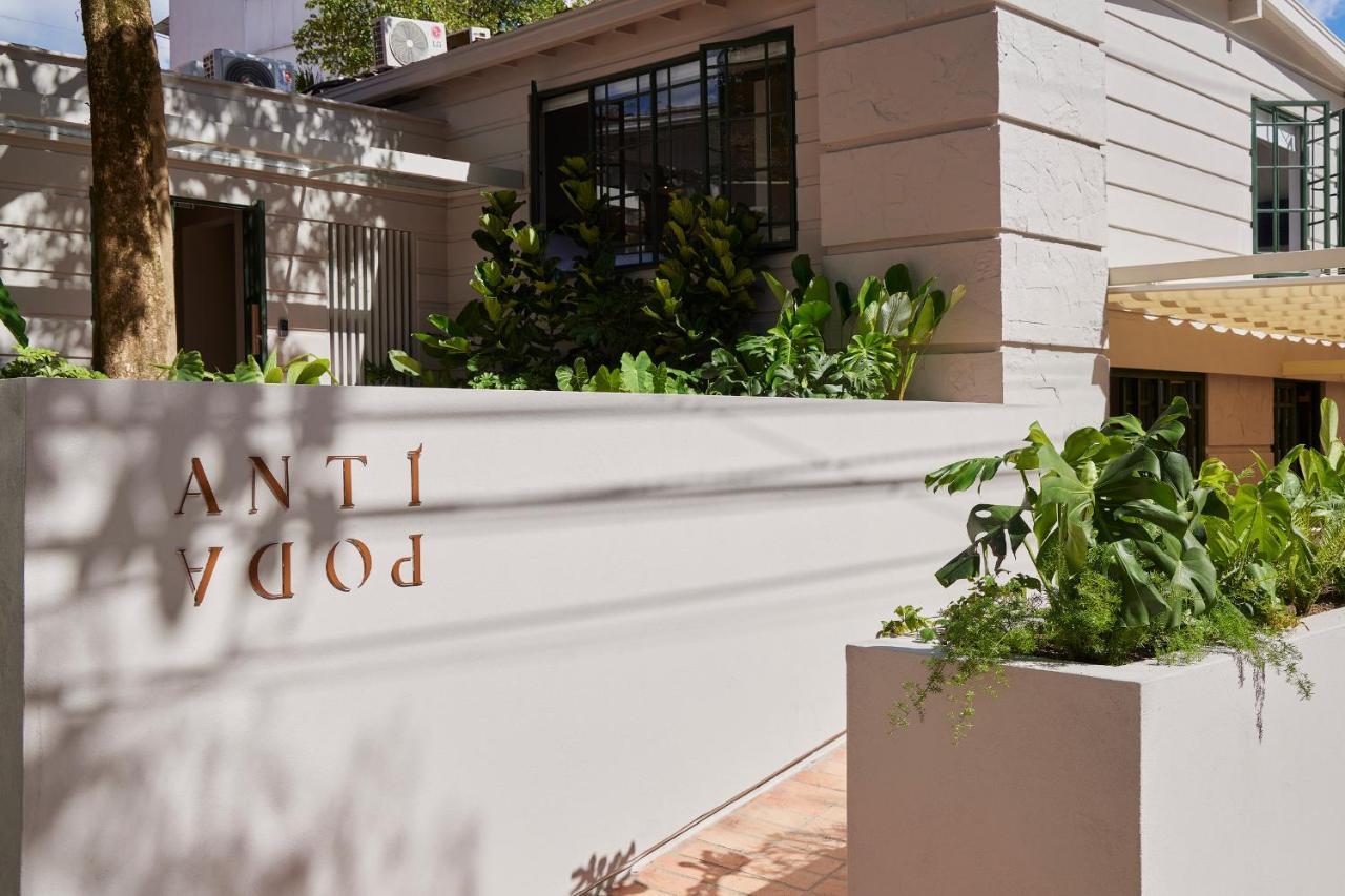 Antipoda Hotel Boutique 메딜린 외부 사진